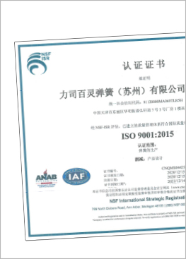 Lee Spring China Tainjin ISO Certificate